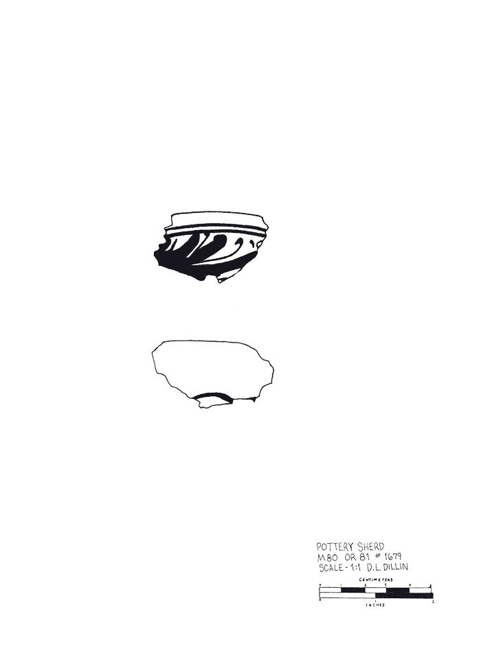Artifact Drawing - Sherd    