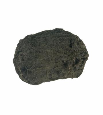 1986.008.0407