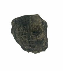 1986.008.0419