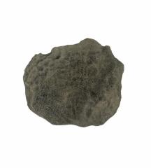 1986.008.0429