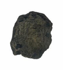 1986.008.0555