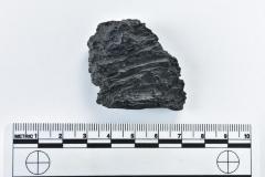 1986.008.2507a