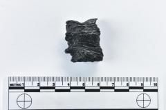 1986.008.2510j