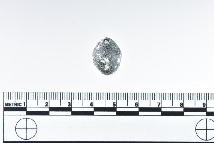 1986.008.2224b
