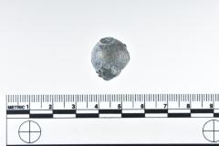 1986.008.2226m