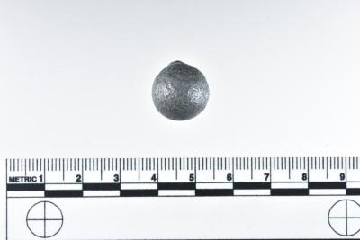 1986.008.2972g