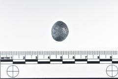 1986.008.2204e