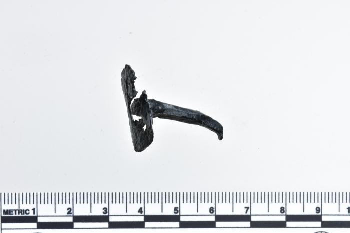 1986.008.0813c