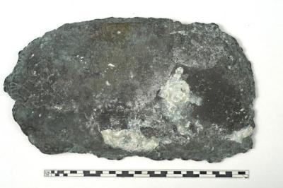 1986.008.2503