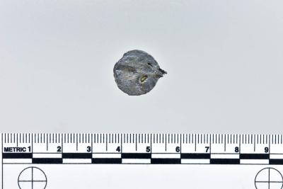 1986.008.2208g
